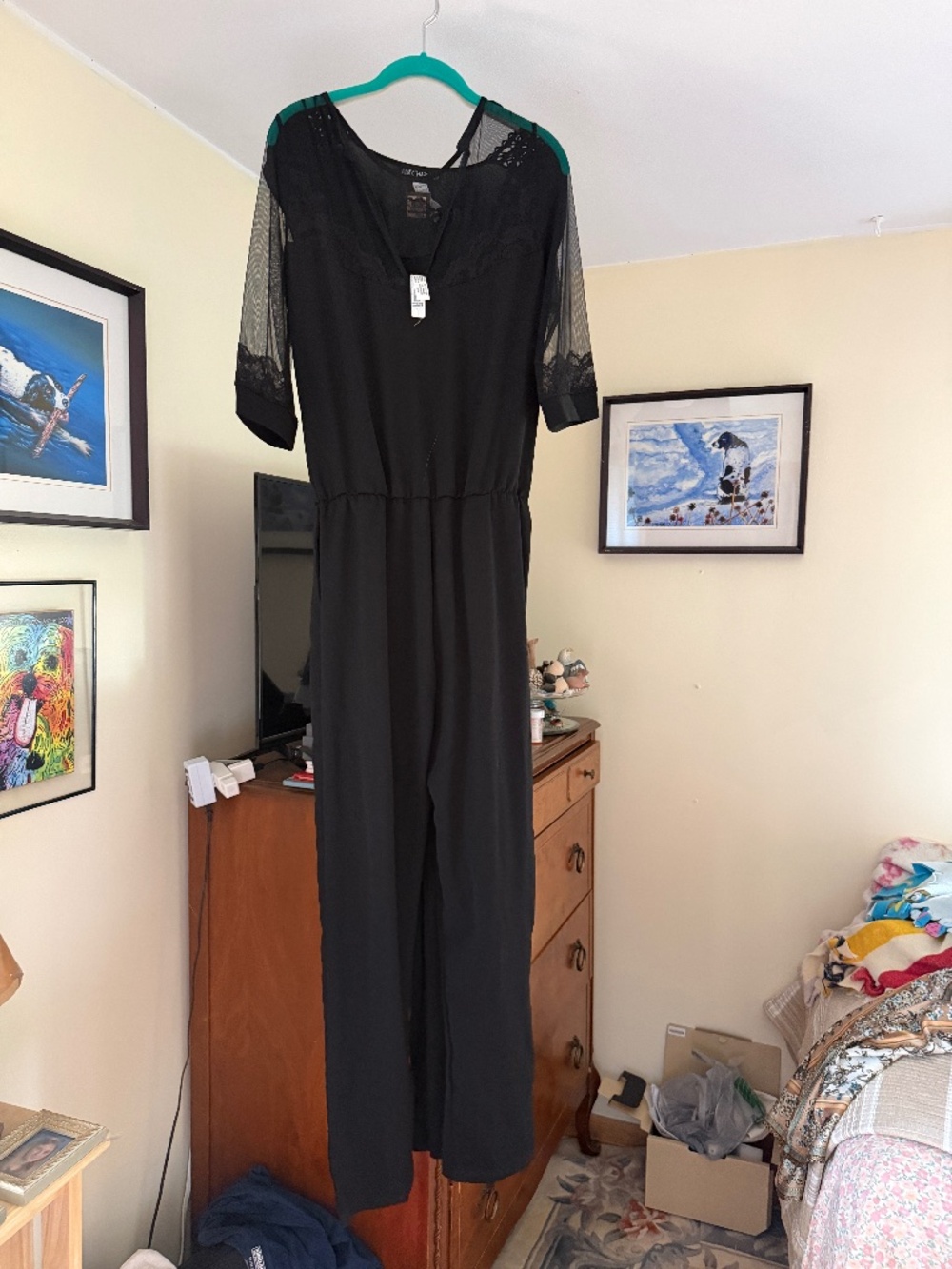 Lise Charmel jumpsuit with sheer sleeves lace at neck.